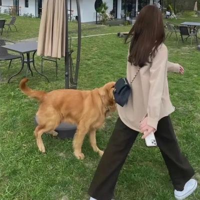 我要一个家